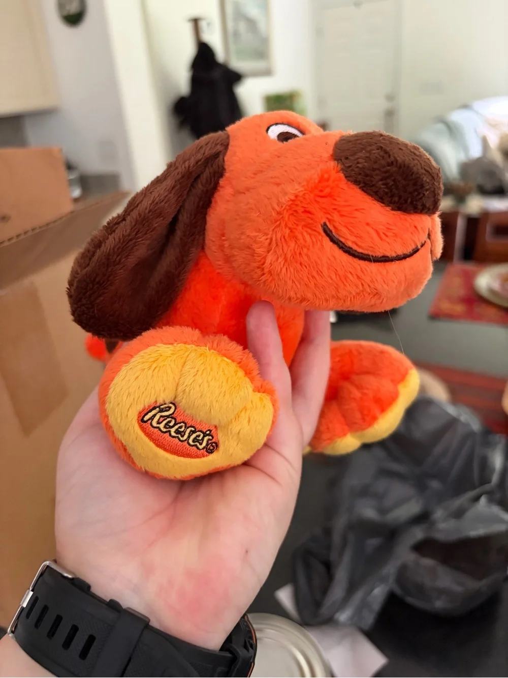 N/A soft orange
